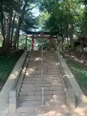 氷川女體神社(埼玉県)