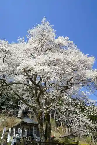 淡墨観音(岐阜県)