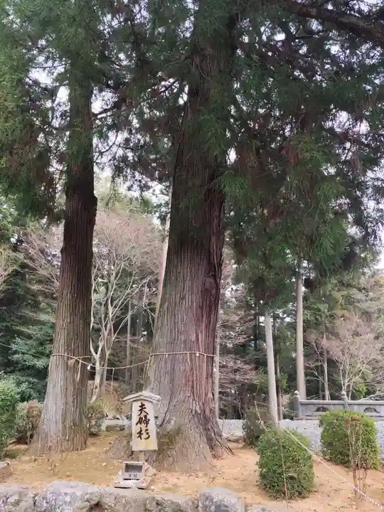 明石寺(愛媛県)