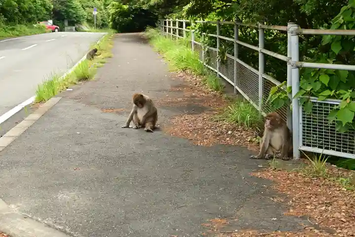 月山神社(高知県)