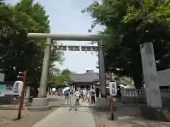 浅草神社の御朱印