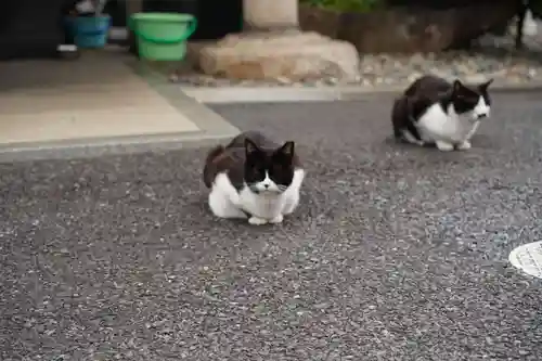 白金氷川神社(東京都)