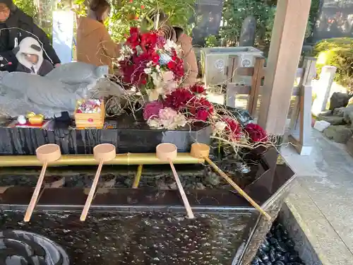 亀ケ池八幡宮(神奈川県)