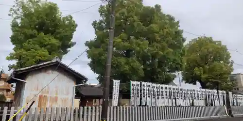 神明社・八幡社合殿（中杉町）の自然