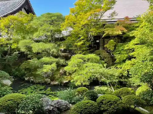 禅林寺（永観堂）(京都府)
