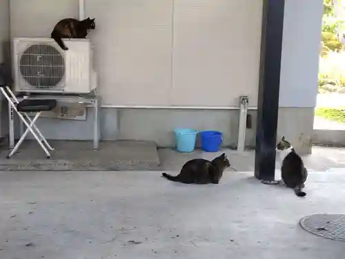 正覚寺(福井県)