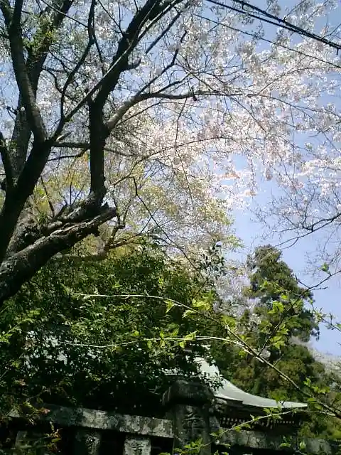 御霊神社の自然