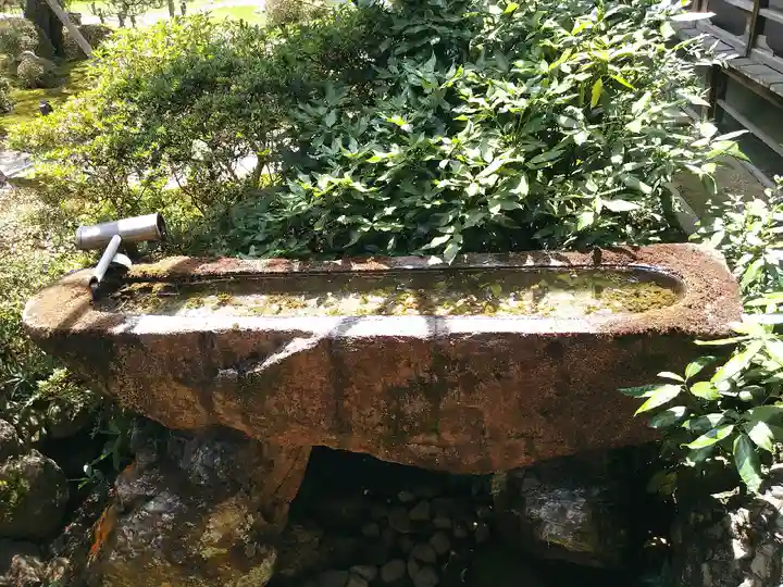 青蓮院門跡の手水舎