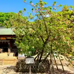 上地八幡宮の庭園