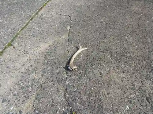 田耕神社(山口県)