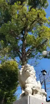 上平井天祖神社(東京都)