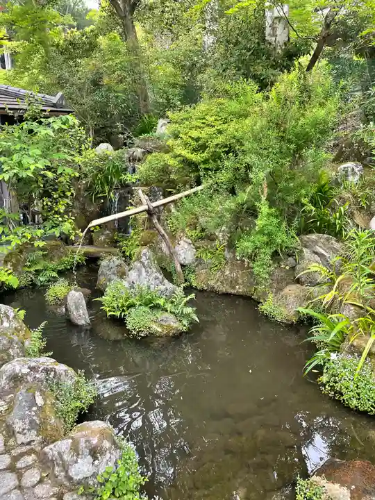 宝泉院の庭園