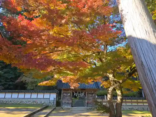 粟鹿神社(兵庫県)
