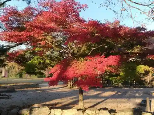 賀茂別雷神社（上賀茂神社）の庭園