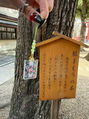 御霊神社の{uncategorized: "未分類", other: "その他", undefined: "問題あり", building: "その他建物", grave: "お墓", sacred_gate: "鳥居", guardian: "狛犬", statue: "像", buddha: "仏像", history: "歴史", nature: "自然", garden: "庭園", animal: "動物", pagoda: "塔", temizu: "手水舎", mountain_gate: "山門・神門", sanctuary: "本殿・本堂", subordinate: "末社・摂社", art: "芸術", scenery: "景色", jizo: "地蔵", ema: "絵馬", goshuin: "御朱印", omikuji: "おみくじ", items: "授与品その他", amulet: "お守り", goshuincho: "御朱印帳", eats: "食事", festival: "お祭り", votive_dance: "神楽", shichigosan: "七五三参", wedding: "結婚式", experience: "体験その他", initially: "初詣", around: "周辺", anti_infection: "感染症対策"}