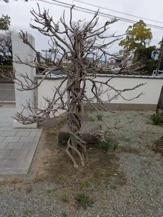 西善院(神奈川県)