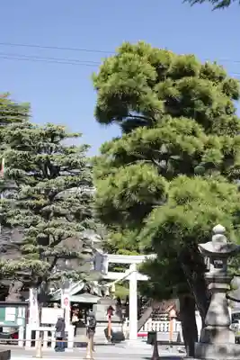 草加神社(埼玉県)