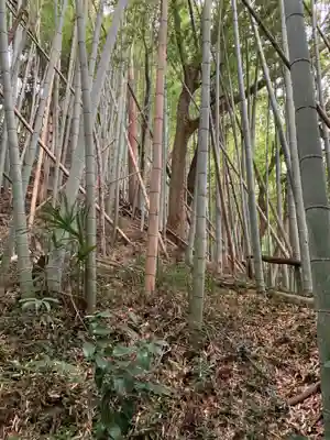 金剛勝寺(千葉県)