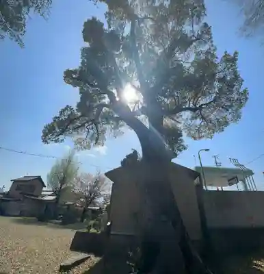保津八幡宮社(京都府)