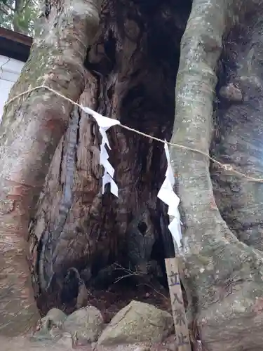 黒沼神社(福島県)