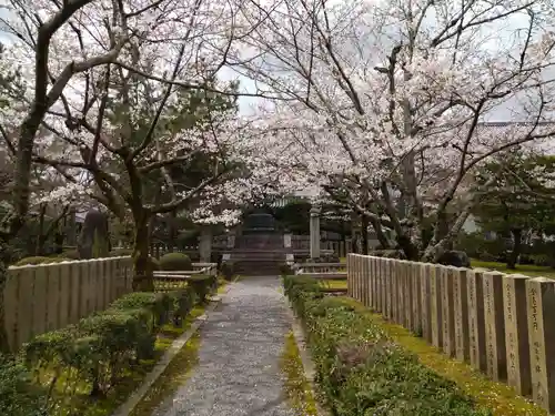 大覚寺(京都府)