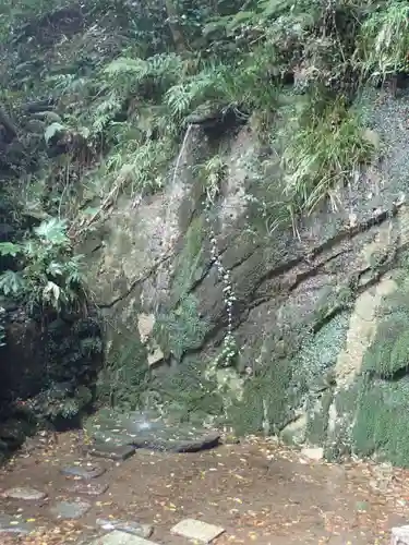淨眞寺(東京都)