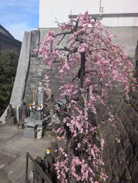 妙清寺(東京都)