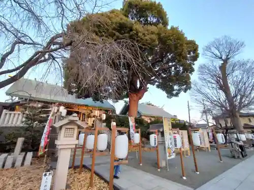 伊勢原大神宮(神奈川県)