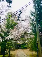 日先神社の自然