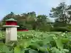 白山神社(新潟県)