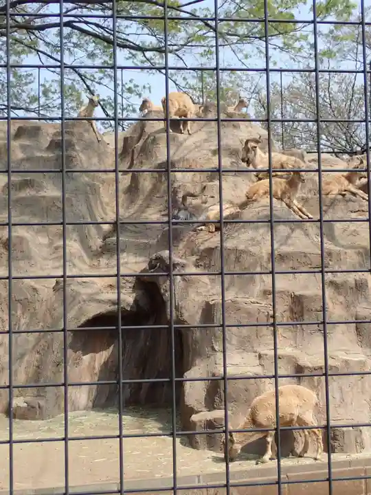 天照皇大神(神奈川県)