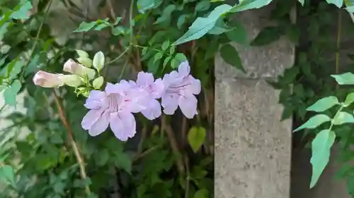 乾窓院(京都府)