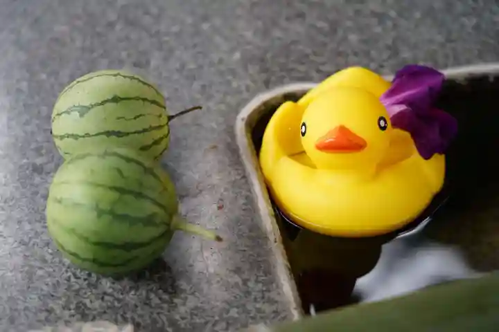 高司神社〜むすびの神の鎮まる社〜の手水舎