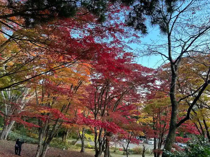 土津神社|こどもと出世の神さま(福島県)