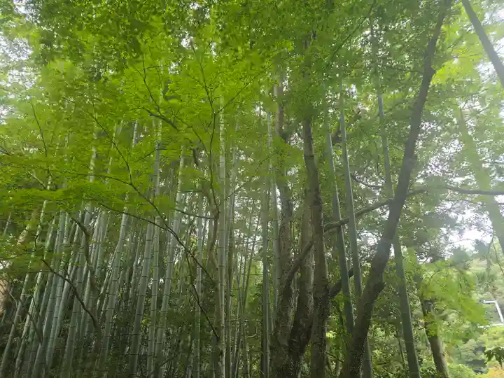 真珠院(神峯山寺塔頭)(大阪府)