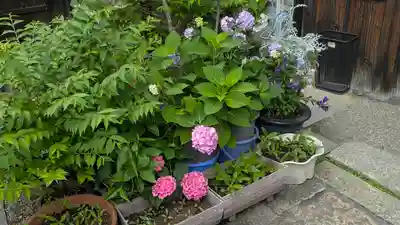 證安院(京都府)