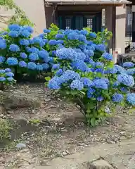 日吉八王子神社の自然