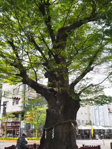 大國魂神社(東京都)