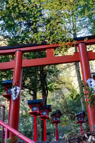 貴船神社結社(京都府)