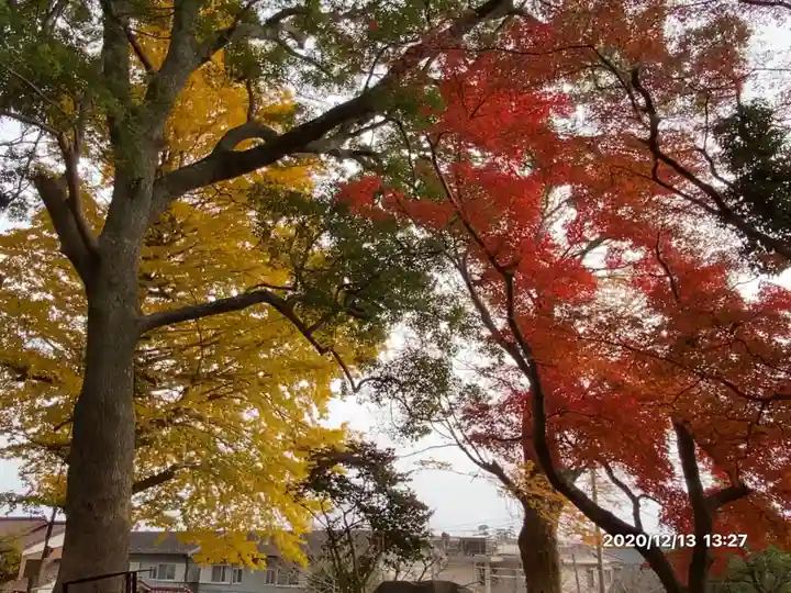 白岩神社の自然
