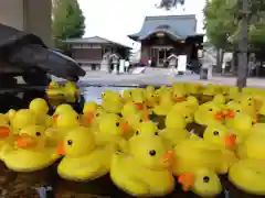 杉杜白髭神社(福井県)