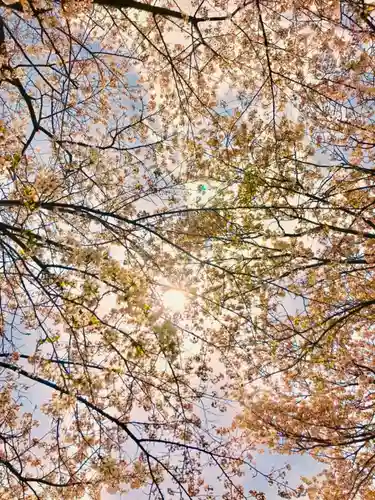 金嶽神社の自然