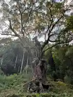 武雄神社(佐賀県)