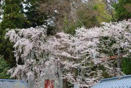 田村神社の自然