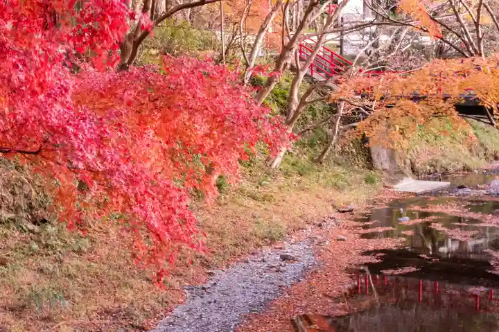 小國神社(静岡県)