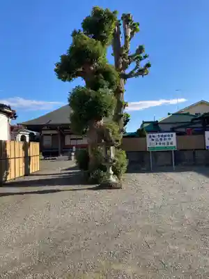 千手院(神奈川県)