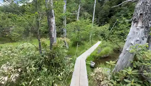 穂高神社奥宮(長野県)