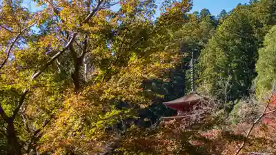 長谷寺(奈良県)