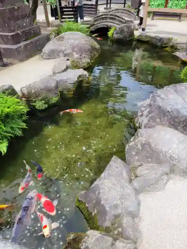 太宰府天満宮(福岡県)