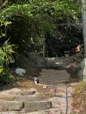 飯盛神社(長崎県)